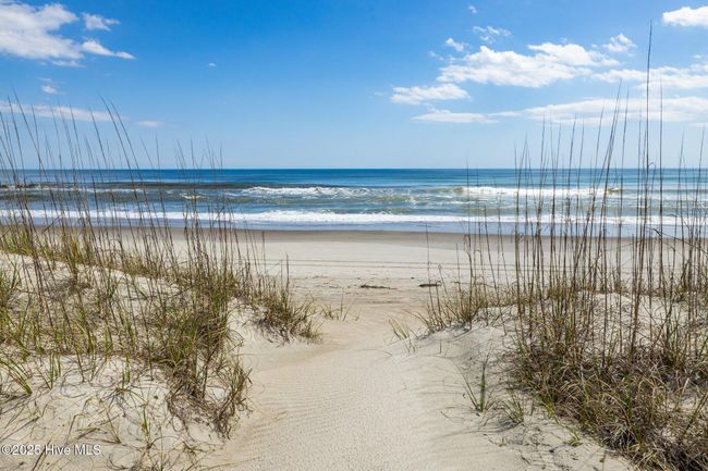 Beach and Ocean | Image 9