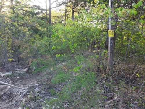 1213 Cr 36, Clarkridge, AR, 72623 | Card Image