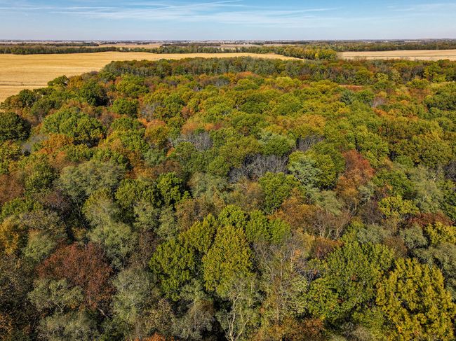 802 Union Rd, House other with 4 bedrooms, 2 bathrooms and 4 parking in Harmon IL | Image 53