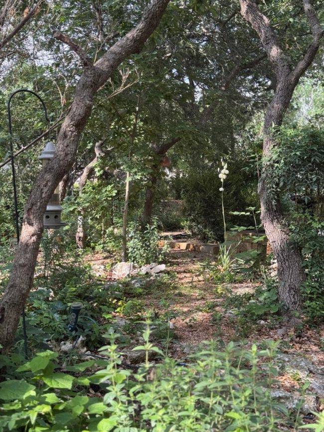 100 Broad Vista Ct, House other with 3 bedrooms, 2 bathrooms and 4 parking in Georgetown TX | Image 40