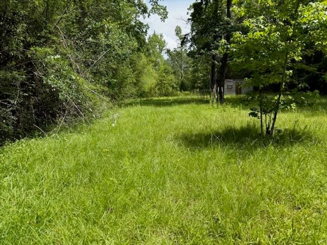 1700 Woodrow St, House other with 3 bedrooms, 1 bathrooms and null parking in Silsbee TX | Image 11
