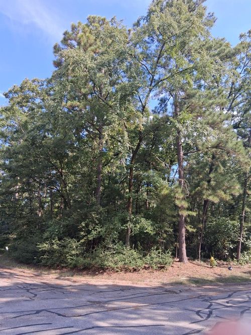 TBD Rantoul Ct, Huntsville, TX, 77320 | Card Image