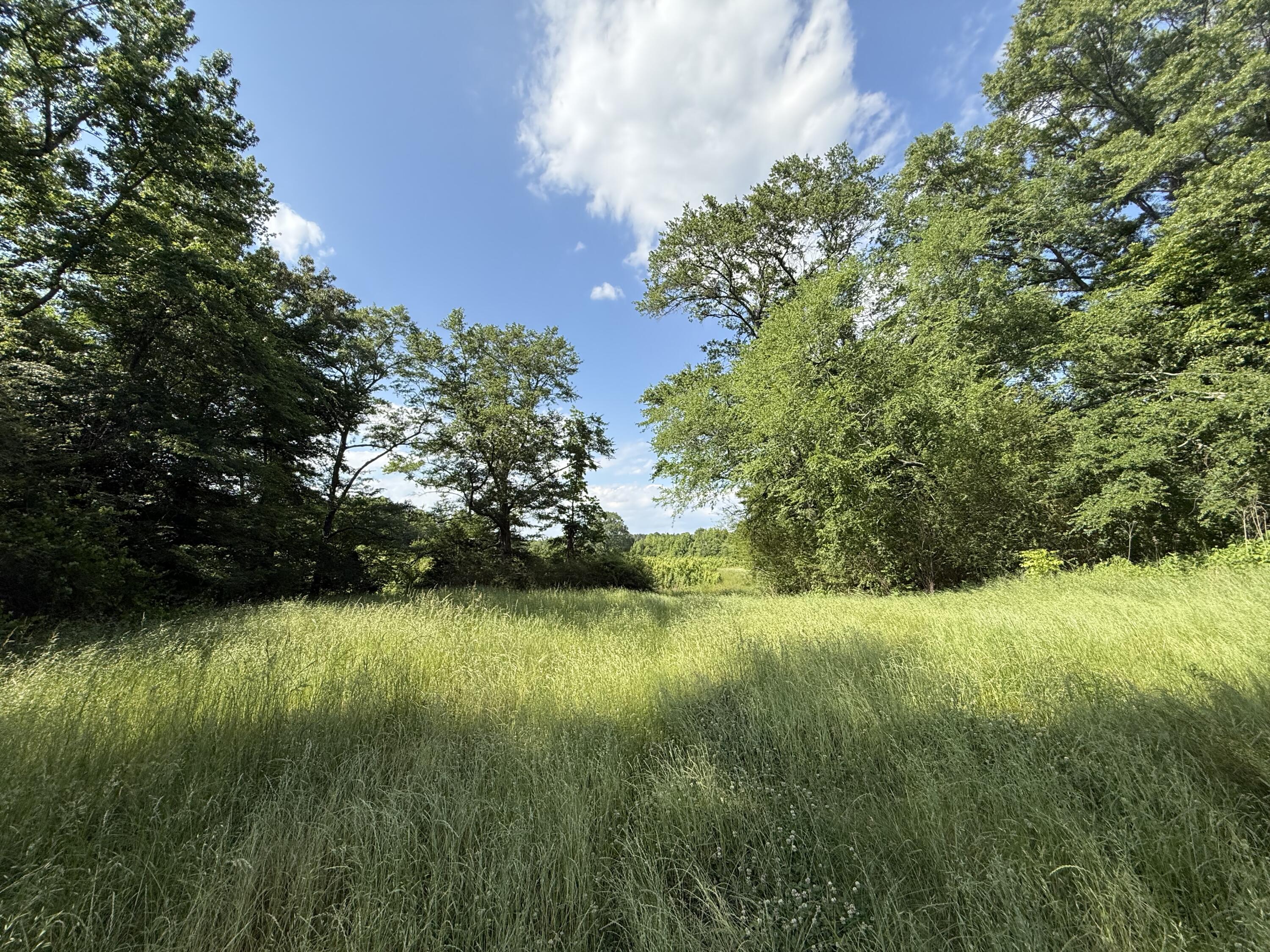 Land in Fulton 2