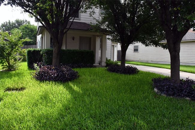 View of property hidden behind natural elements with a front lawn | Image 36