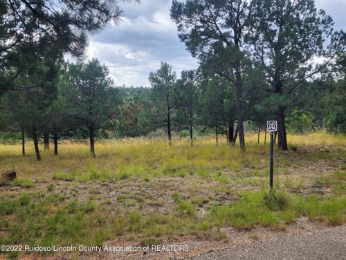 242 Woodwinds Lane, Alto, NM, 88312 | Card Image