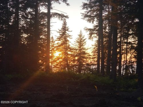 L29 B7 Kashevarof Rd, Seldovia, AK, 99663 | Card Image