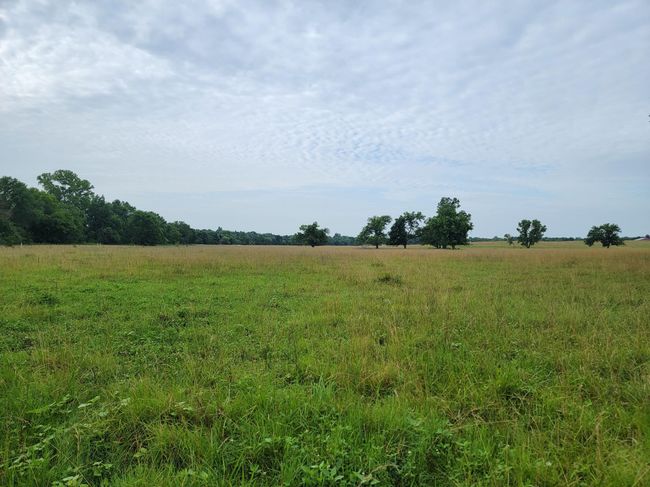 231 Fm 100, Home with 0 bedrooms, 0 bathrooms and null parking in Honey Grove TX | Image 5