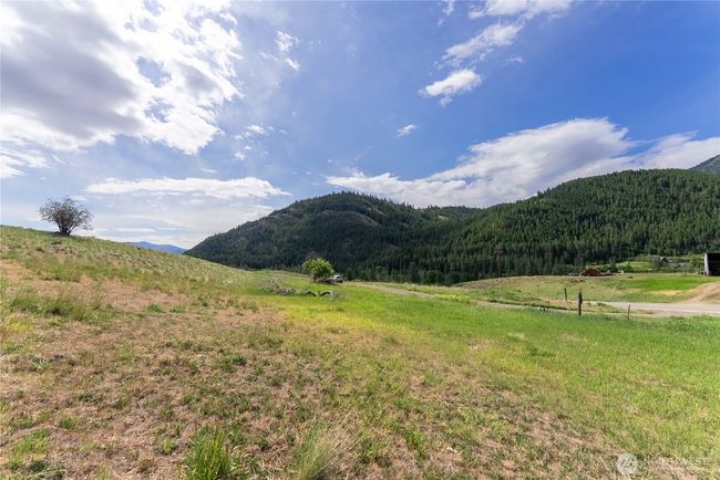 7.33 Acre land near driveway and Twisp River Road. | Image 19