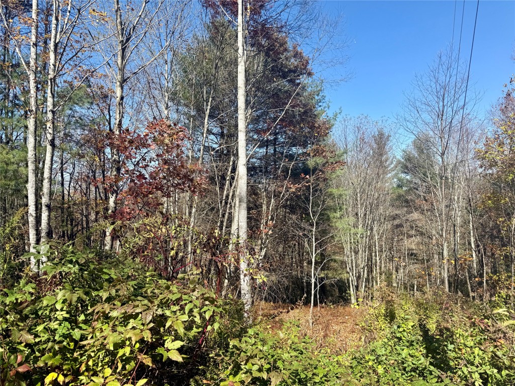 Land in Cashiers 4