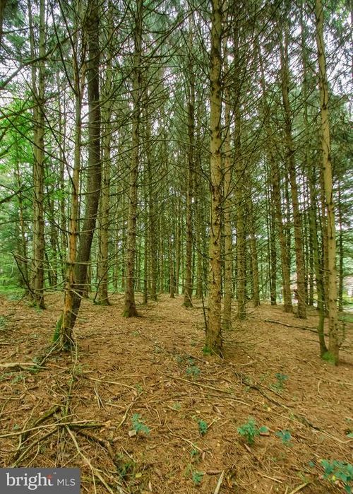 0 Marion Dr, LANDISBURG, PA, 17040 | Card Image