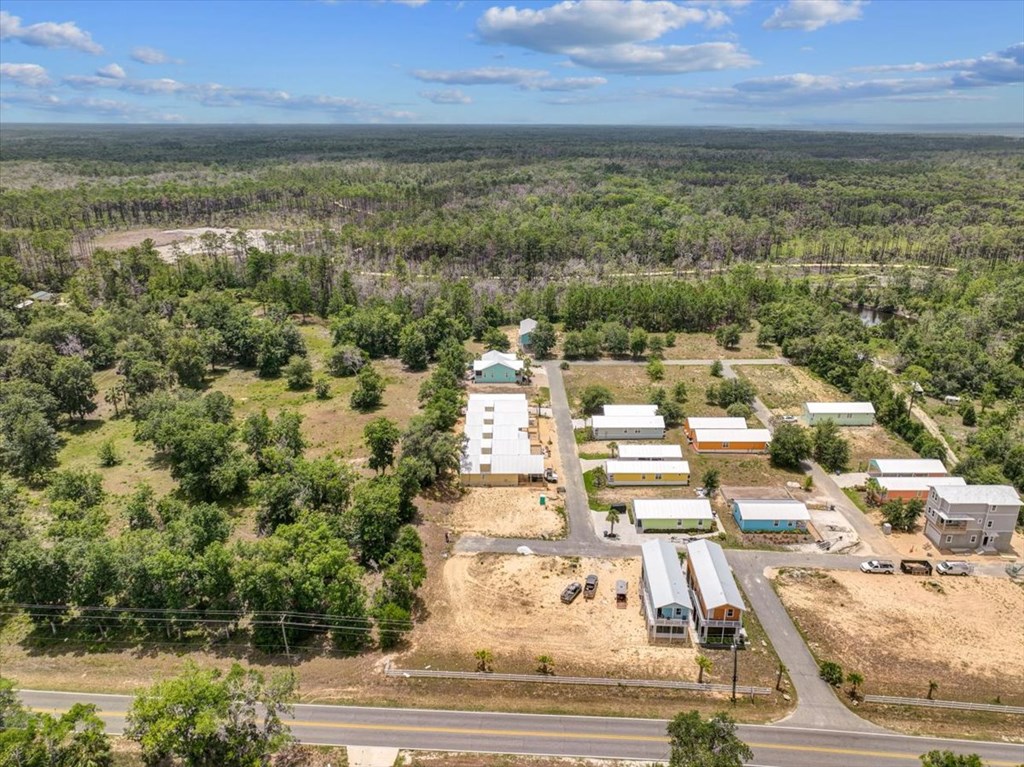 Land in Steinhatchee 5