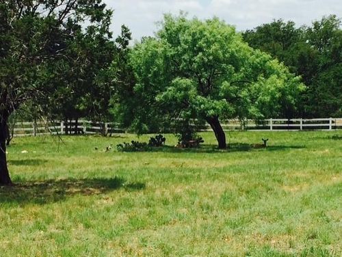 404 Shale, Horseshoe Bay, TX, 78657-2029 | Card Image