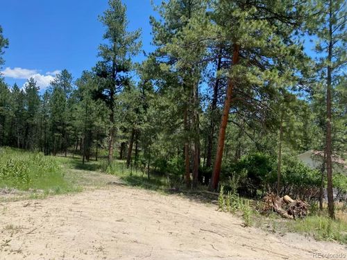 1025 Tenderfoot Dr, Larkspur, CO, 80118-8812 | Card Image