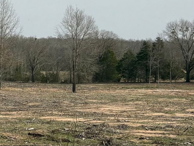 TRACT-2 - TBD County Road 2425, Home with 0 bedrooms, 0 bathrooms and null parking in Como TX | Image 11