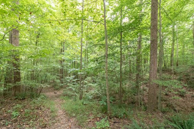 B - 5067 Rawlings Rd, House other with 4 bedrooms, 4 bathrooms and 4 parking in Joelton TN | Image 69