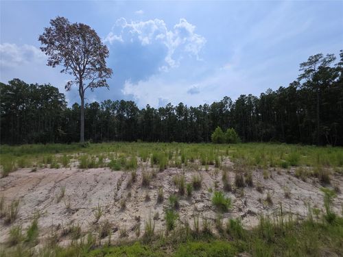 139 Rayburn Reserve Dr, Brookeland, TX, 75931 | Card Image