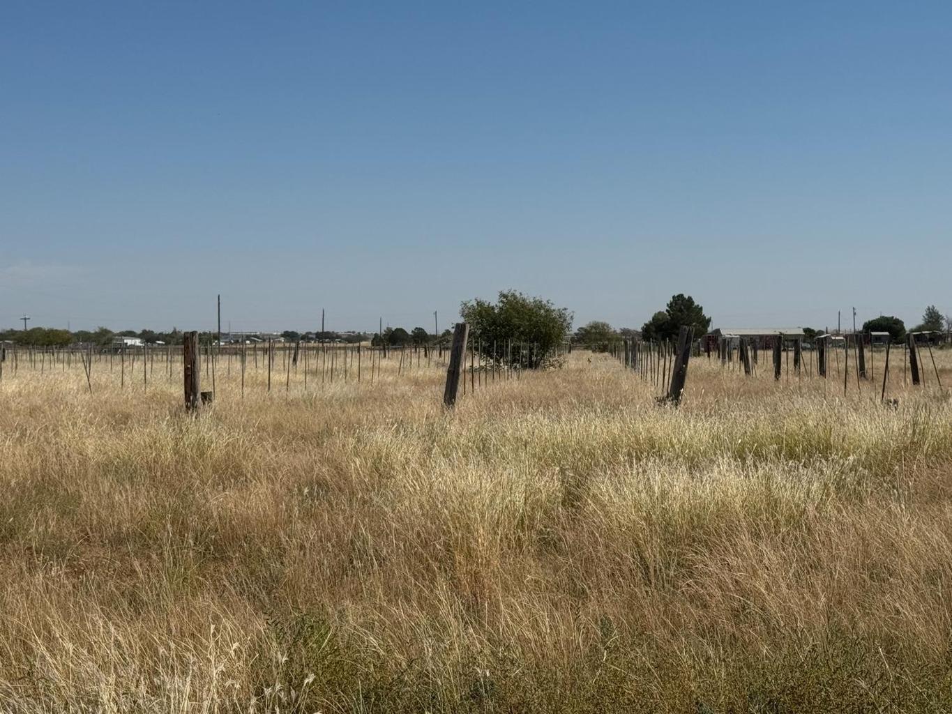 Land in Lubbock 3