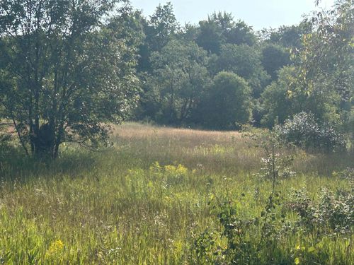 V/L Helena Road, Helena Township, MI, 49612 | Card Image