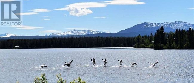 21145 Chilcotin Highway 20, Home with 0 bedrooms, 0 bathrooms and null parking in Nimpo Lake BC | Image 16