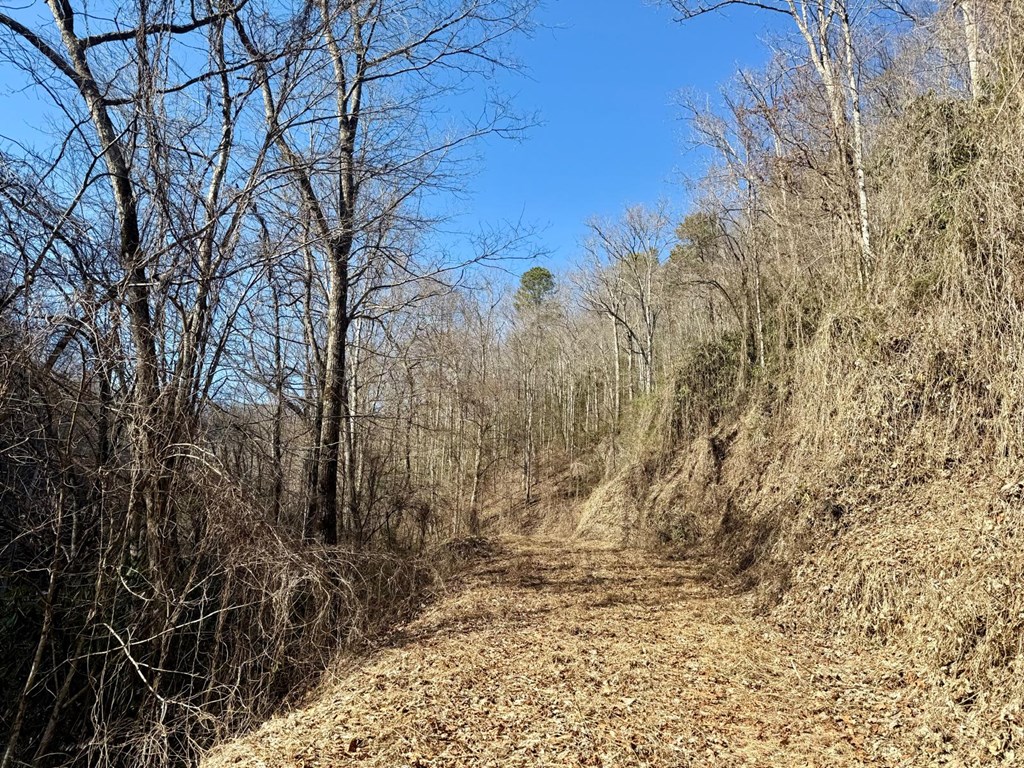 Land in Bryson City 4