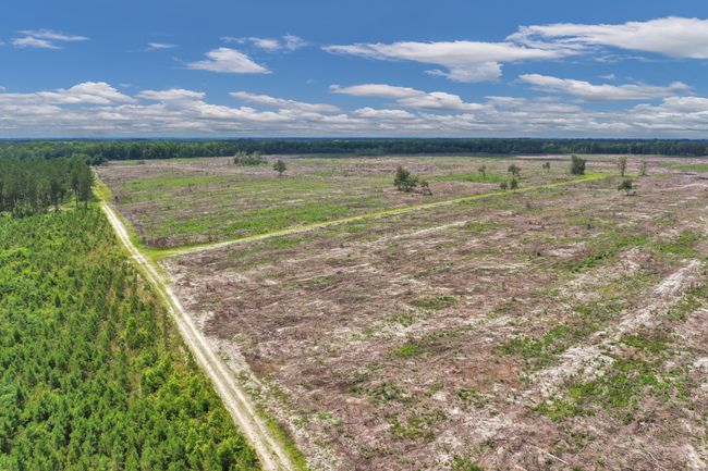 DJI_0499 | Image 15