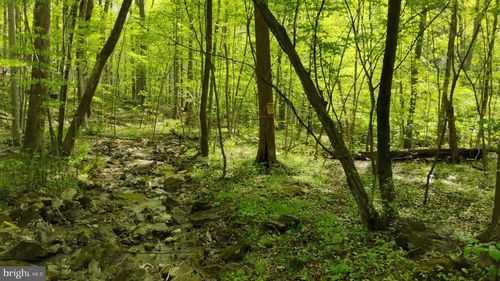 0 Sir Johns Run Rd, BERKELEY SPRINGS, WV, 25411 | Card Image