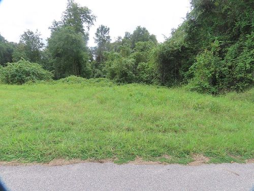 17701 Seidner Rd, WINTER GARDEN, FL, 34787-9717 | Card Image
