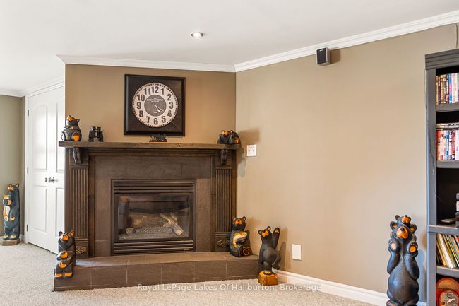 1047 Balmoral Lane, House other with 6 bedrooms, 6 bathrooms and 4 parking in Gooderham ON | Image 38