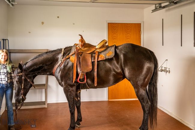Wash bay or tack room | Image 84