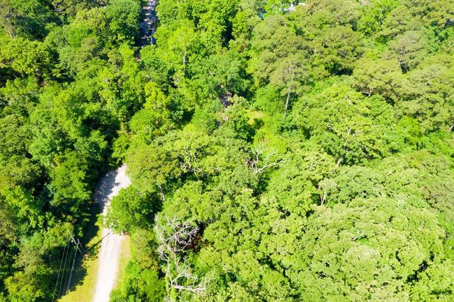 11 - 10 Rabbit Run, Home with 0 bedrooms, 0 bathrooms and null parking in Trinity TX | Image 7