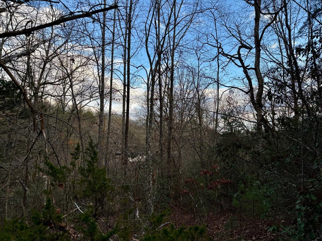 Land in Franklin 4