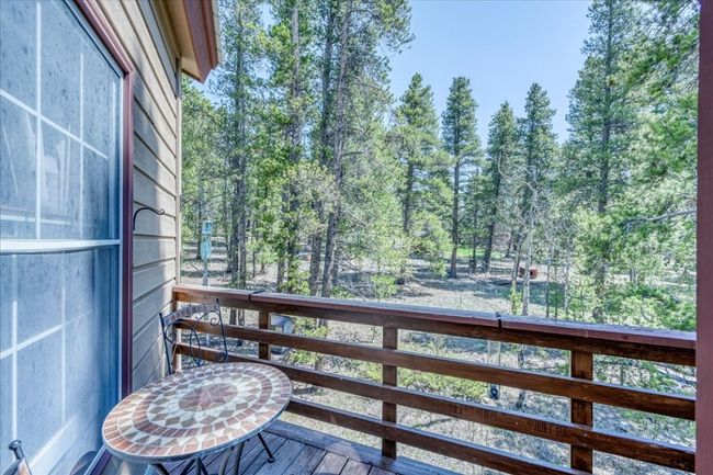 1305 Lakeside Dr, House other with 3 bedrooms, 4 bathrooms and null parking in FAIRPLAY CO | Image 22