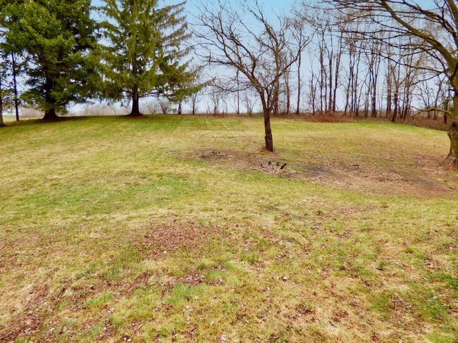 back yard a | Image 29
