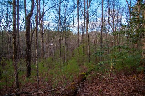 Lot 1 Rock Creek, Cherry Log, GA, 30522 | Card Image