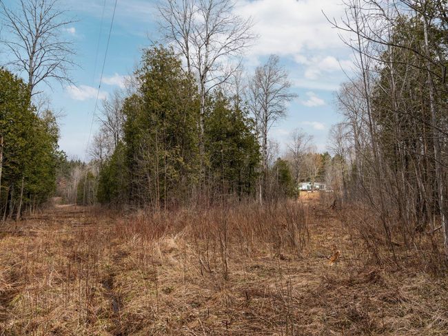 39-web-or-mls-A7405993 | Image 72
