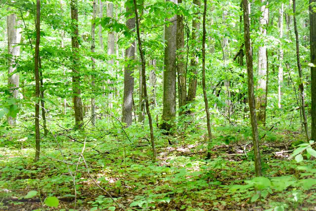 Land in Boyne City 3