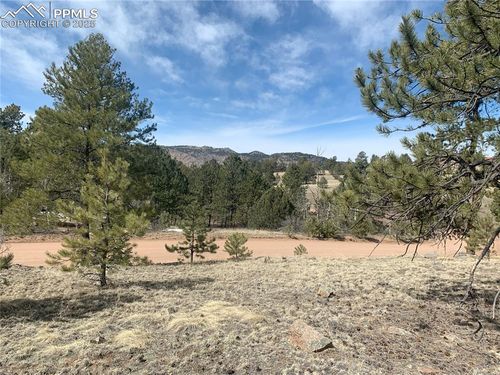 173 Crescent Dr, Florissant, CO, 80816 | Card Image