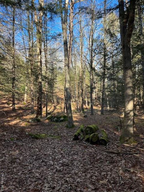 198 W Starlight Dr, Smallwood, NY, 12778 | Card Image