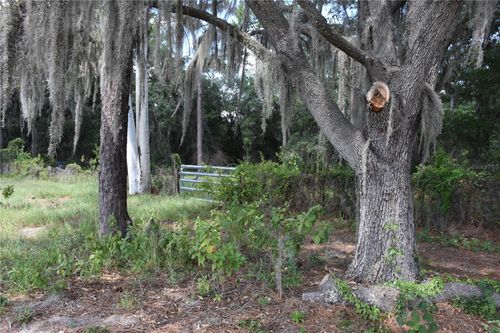 31328 Sand Lake Dr, Mount Dora, FL, 32757-9799 | Card Image