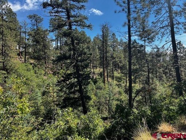 2221 Bear Creek Rd, Home with 0 bedrooms, 0 bathrooms and null parking in Bayfield CO | Image 6