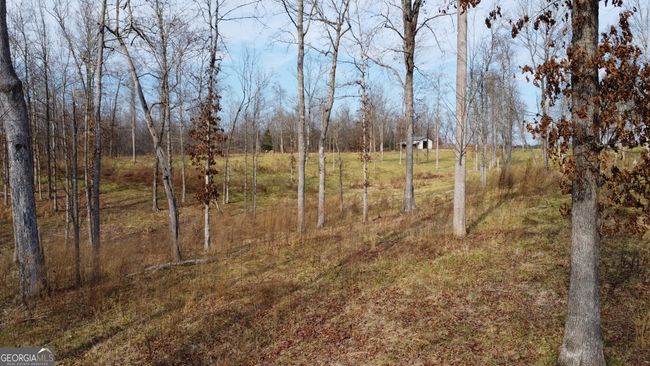 1.70 ACRES Wilkinson Rd, Home with 0 bedrooms, 0 bathrooms and null parking in Baldwin GA | Image 4