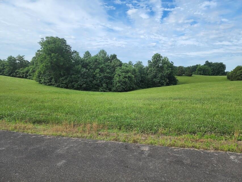 Land in Russell Springs 2