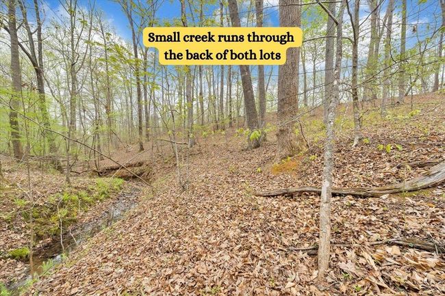 Small creek | Image 45