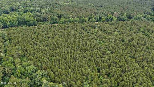 02 Highway 28, Mize, MS, 39116 | Card Image