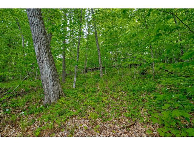 N872 County Highway Md, Home with 0 bedrooms, 0 bathrooms and null parking in SARONA WI | Image 9