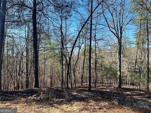 LOT 20 Crown Mountain Way, Dahlonega, GA, 30533 | Card Image