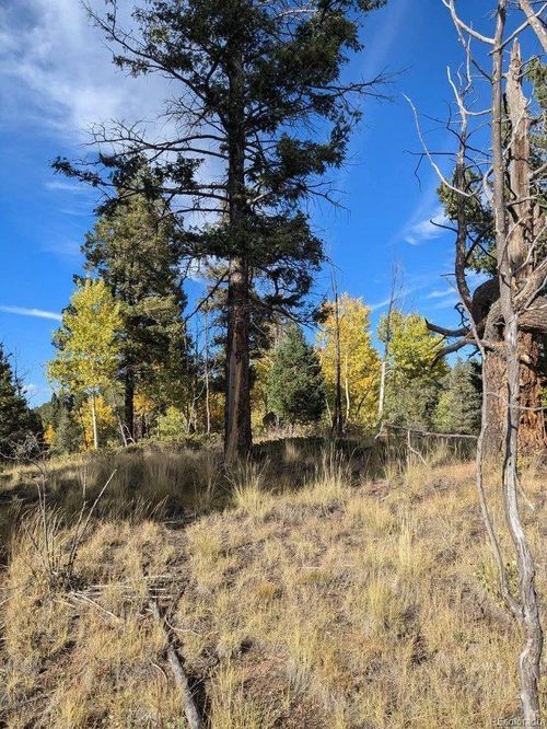 303 View Crest Way, Florissant, CO, 80816-8822 | Card Image