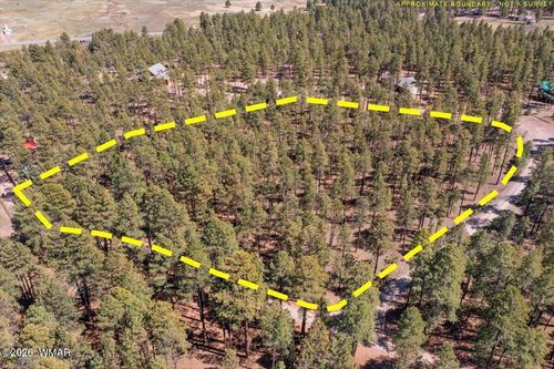 TBD County Road 2325, Alpine, AZ, 85920 | Card Image