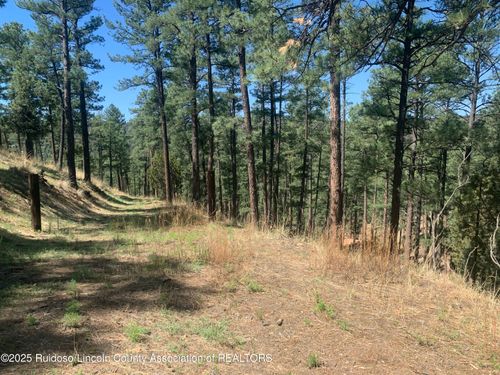 104 Quince Cir, Ruidoso, NM, 88345-9059 | Card Image