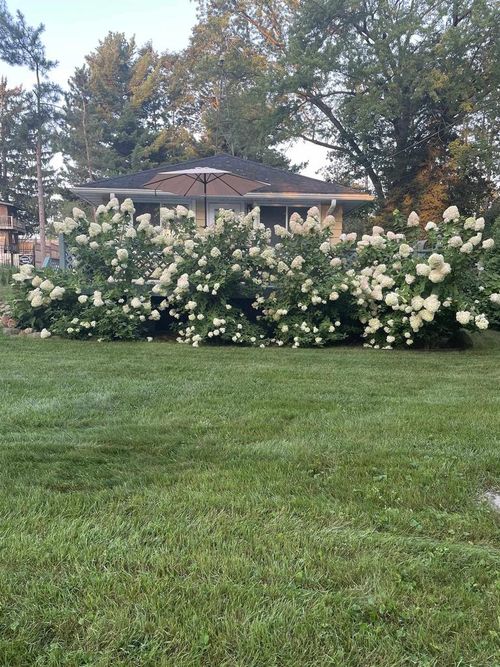 N4231 Lakeview Drive, PRINCETON, WI, 53946 | Card Image